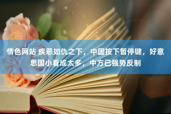 情色网站 疾恶如仇之下，中国按下暂停键，好意思国小看成太多，中方已强势反制