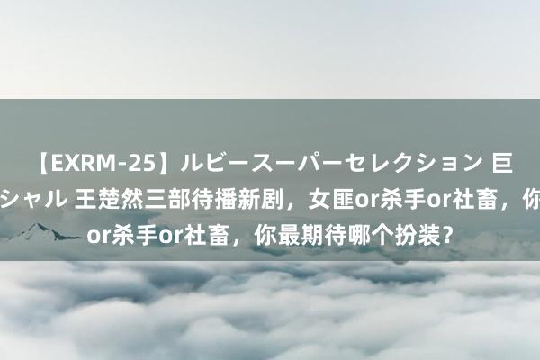 【EXRM-25】ルビースーパーセレクション 巨乳豊満4時間スペシャル 王楚然三部待播新剧，女匪or杀手or社畜，你最期待哪个扮装？