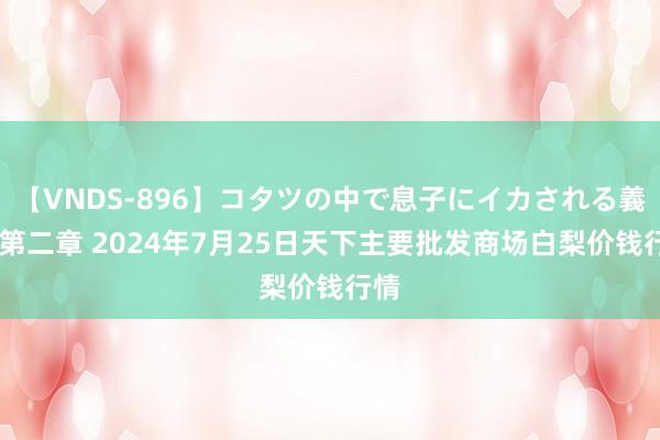 【VNDS-896】コタツの中で息子にイカされる義母 第二章 2024年7月25日天下主要批发商场白梨价钱行情