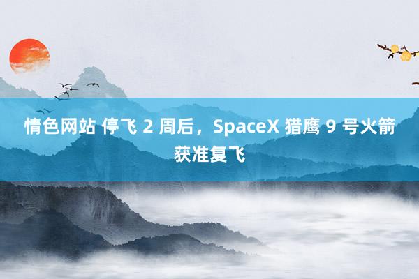 情色网站 停飞 2 周后，SpaceX 猎鹰 9 号火箭获准复飞