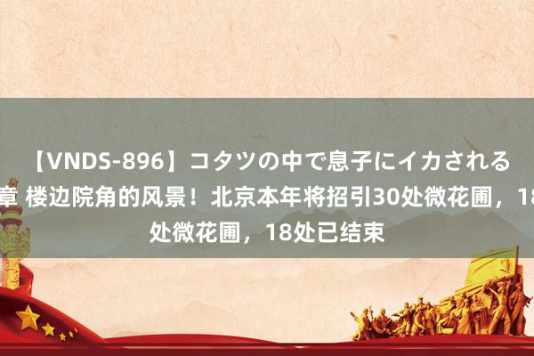 【VNDS-896】コタツの中で息子にイカされる義母 第二章 楼边院角的风景！北京本年将招引30处微花圃，18处已结束