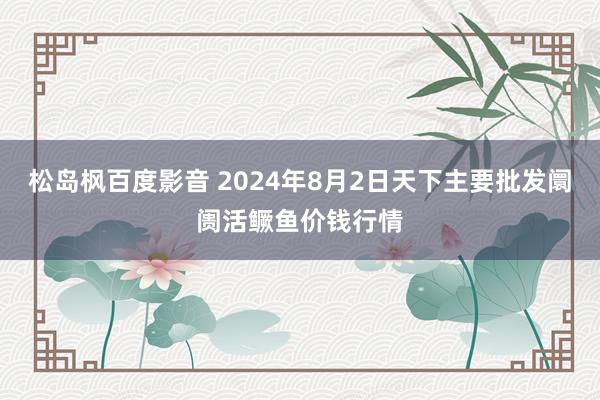 松岛枫百度影音 2024年8月2日天下主要批发阛阓活鳜鱼价钱行情