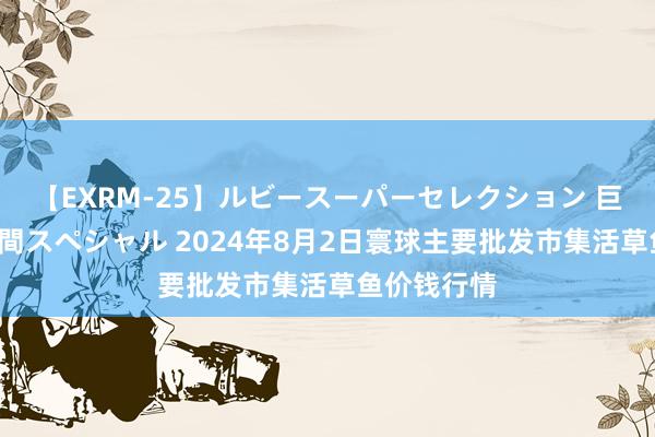 【EXRM-25】ルビースーパーセレクション 巨乳豊満4時間スペシャル 2024年8月2日寰球主要批发市集活草鱼价钱行情