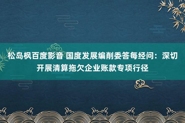 松岛枫百度影音 国度发展编削委答每经问：深切开展清算拖欠企业账款专项行径