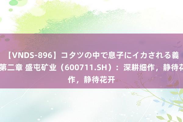 【VNDS-896】コタツの中で息子にイカされる義母 第二章 盛屯矿业（600711.SH）：深耕细作，静待花开