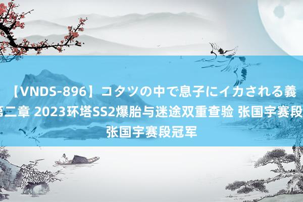 【VNDS-896】コタツの中で息子にイカされる義母 第二章 2023环塔SS2爆胎与迷途双重查验 张国宇赛段冠军