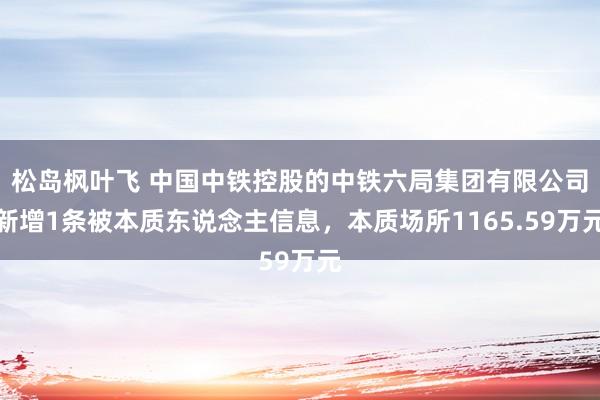 松岛枫叶飞 中国中铁控股的中铁六局集团有限公司新增1条被本质东说念主信息，本质场所1165.59万元