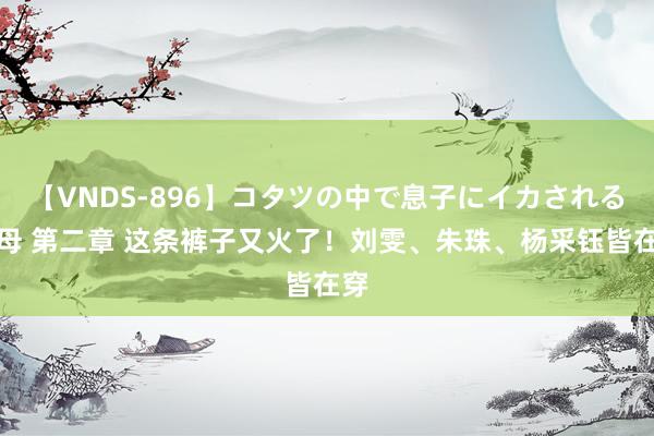 【VNDS-896】コタツの中で息子にイカされる義母 第二章 这条裤子又火了！刘雯、朱珠、杨采钰皆在穿