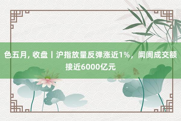 色五月， 收盘丨沪指放量反弹涨近1%，阛阓成交额接近6000亿元