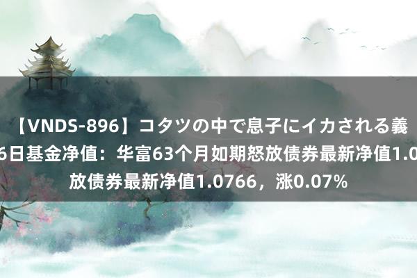 【VNDS-896】コタツの中で息子にイカされる義母 第二章 8月16日基金净值：华富63个月如期怒放债券最新净值1.0766，涨0.07%