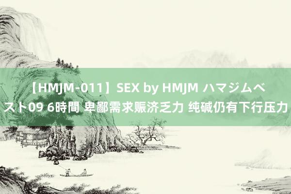 【HMJM-011】SEX by HMJM ハマジムベスト09 6時間 卑鄙需求赈济乏力 纯碱仍有下行压力