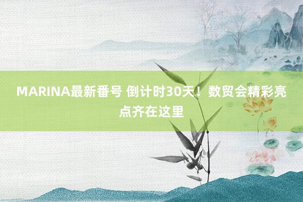 MARINA最新番号 倒计时30天！数贸会精彩亮点齐在这里