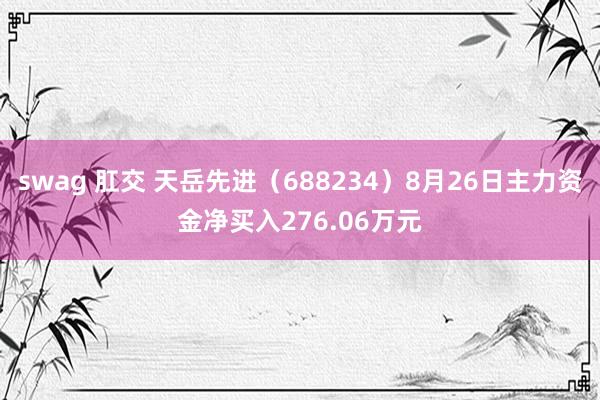 swag 肛交 天岳先进（688234）8月26日主力资金净买入276.06万元