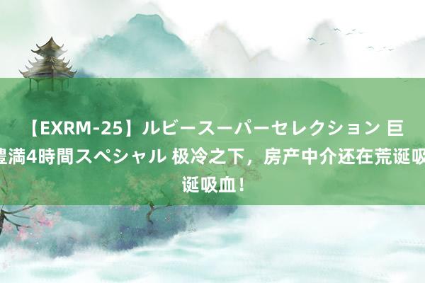 【EXRM-25】ルビースーパーセレクション 巨乳豊満4時間スペシャル 极冷之下，房产中介还在荒诞吸血！