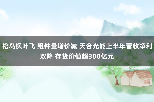 松岛枫叶飞 组件量增价减 天合光能上半年营收净利双降 存货价值超300亿元