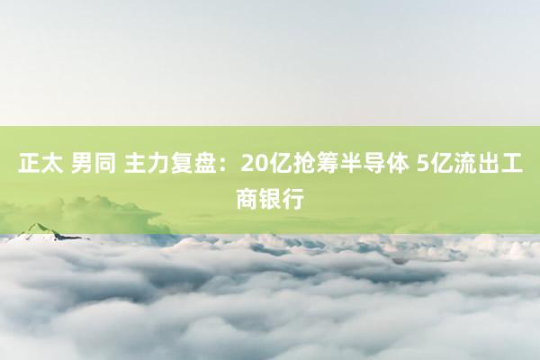 正太 男同 主力复盘：20亿抢筹半导体 5亿流出工商银行