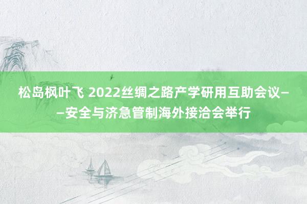 松岛枫叶飞 2022丝绸之路产学研用互助会议——安全与济急管制海外接洽会举行