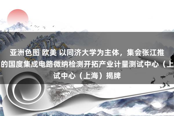 亚洲色图 欧美 以同济大学为主体，集会张江推行室筹建的国度集成电路微纳检测开拓产业计量测试中心（上海）揭牌