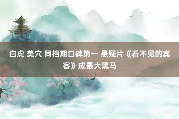 白虎 美穴 同档期口碑第一 悬疑片《看不见的宾客》成最大黑马