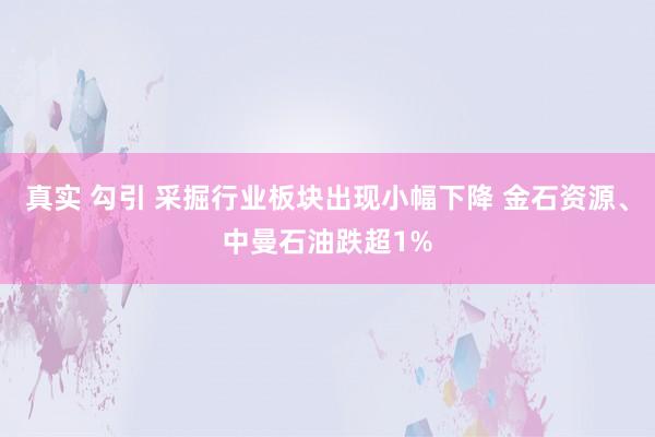 真实 勾引 采掘行业板块出现小幅下降 金石资源、中曼石油跌超1%