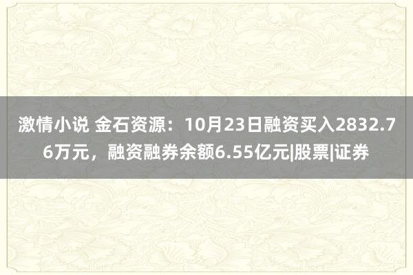 激情小说 金石资源：10月23日融资买入2832.76万元，融资融券余额6.55亿元|股票|证券