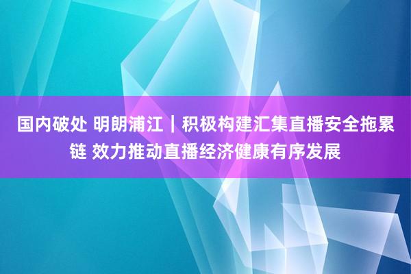 国内破处 明朗浦江｜积极构建汇集直播安全拖累链 效力推动直播经济健康有序发展